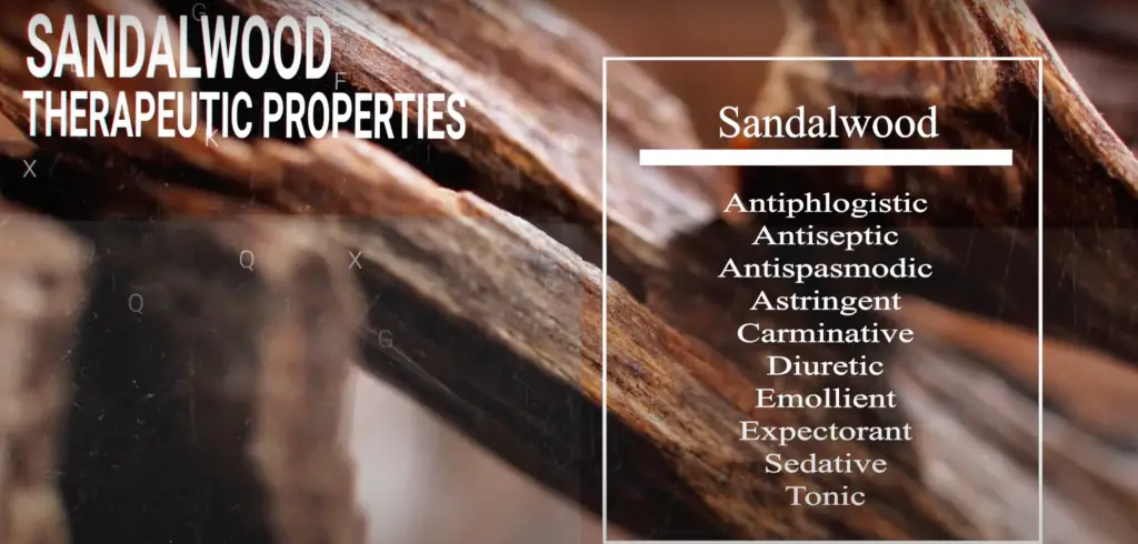sandalwood - essential oils for meditation