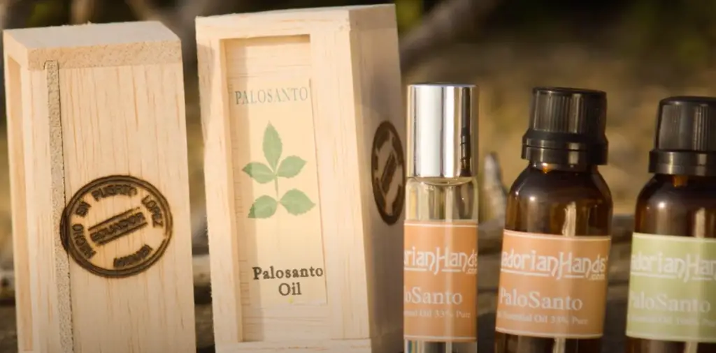 palo santo - essential oils for meditation