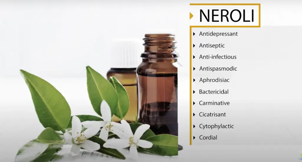 neroli - essential oils for meditation