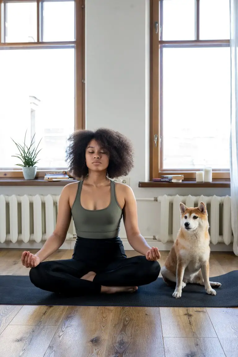 getting started with metta meditation