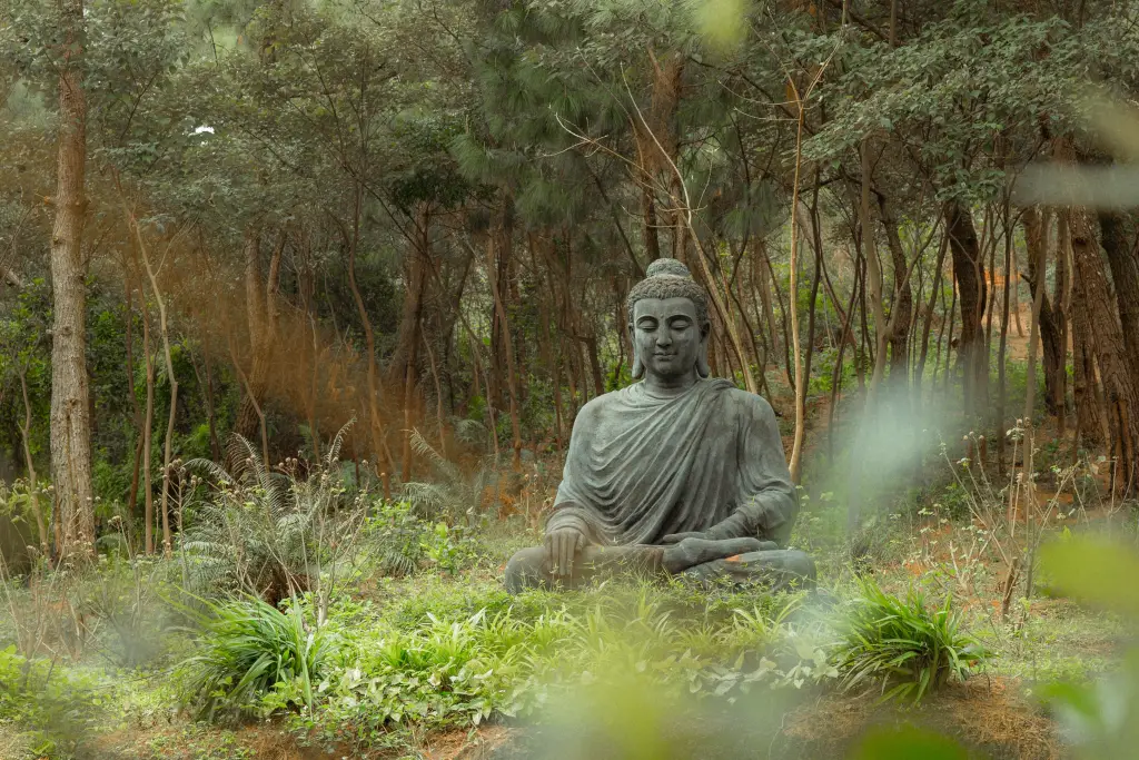 Vipassana Meditation for Beginners